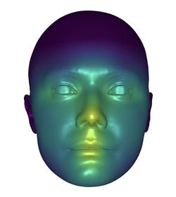 FaceMap: Distortion-Driven Perceptual Facial Saliency Maps