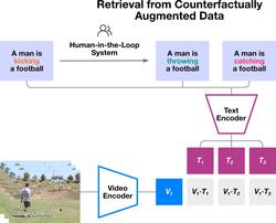 Rethinking Video-Text Understanding: Retrieval from Counterfactually Augmented Data
